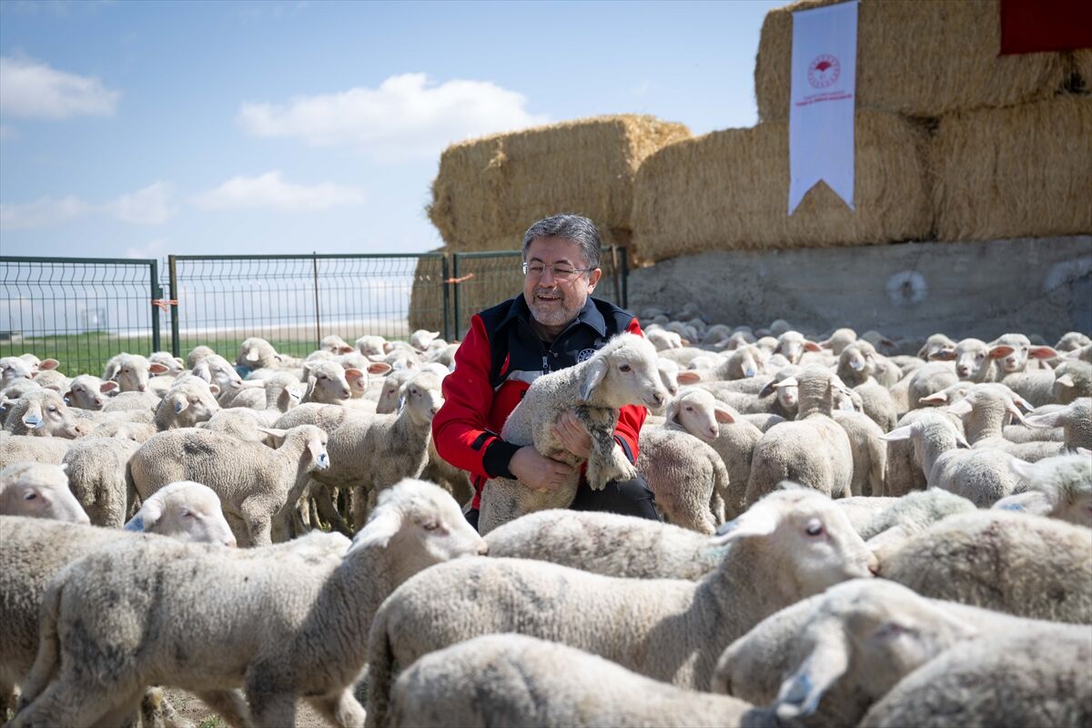 A A 20260413 41095204 41095178 B A K A N Y U M A K L I T I G E M P O L A T L I T A R I M I S L E T M E S I M U D U R L U G U N U Z I Y A R E T E T T I