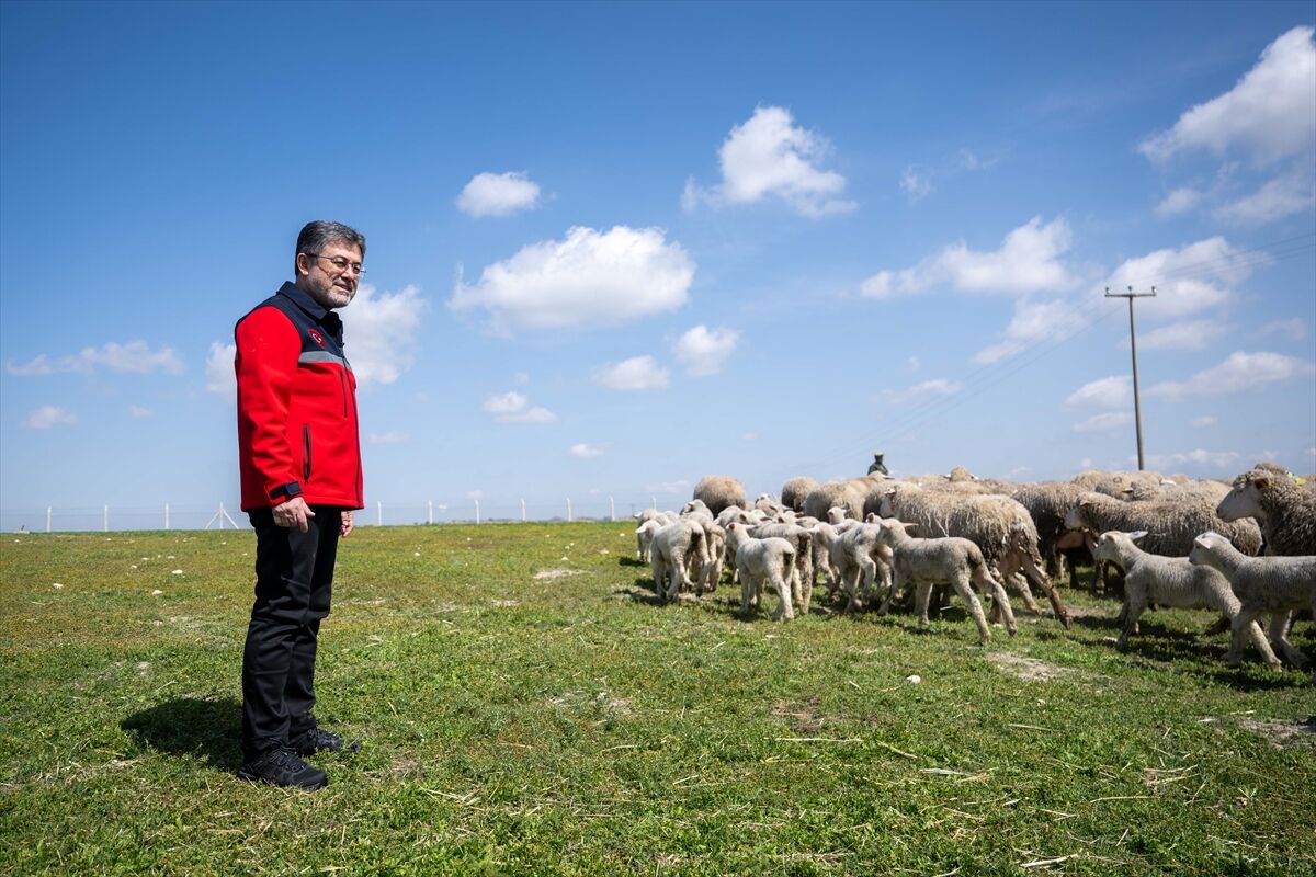 A A 20260413 41095204 41095179 B A K A N Y U M A K L I T I G E M P O L A T L I T A R I M I S L E T M E S I M U D U R L U G U N U Z I Y A R E T E T T I