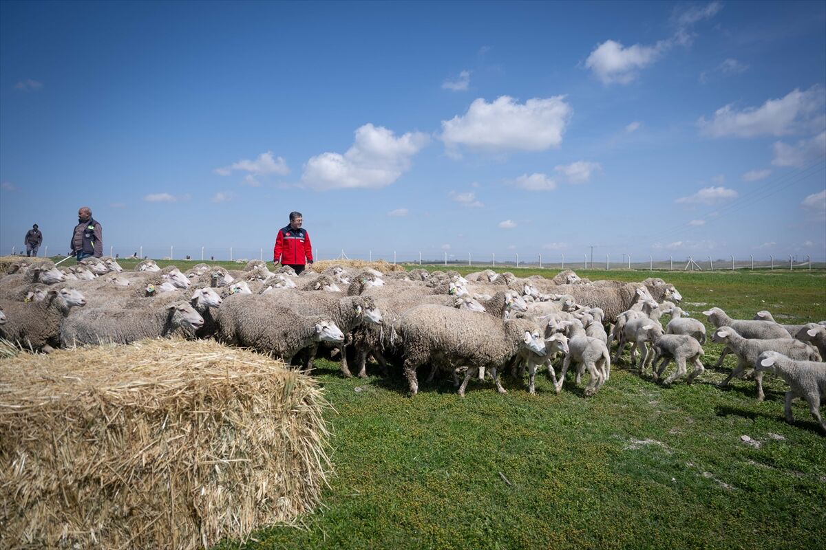 A A 20260413 41095204 41095191 B A K A N Y U M A K L I T I G E M P O L A T L I T A R I M I S L E T M E S I M U D U R L U G U N U Z I Y A R E T E T T I