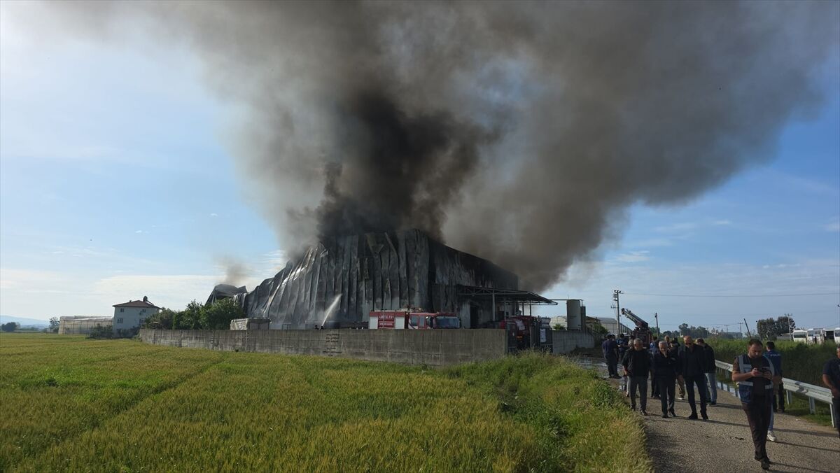 A A 20260425 41204603 41204600 A N T A L Y A D A P A T A T E S C I P S I U R E T I M T E S I S I N D E C I K A N Y A N G I N S O N D U R U L D U