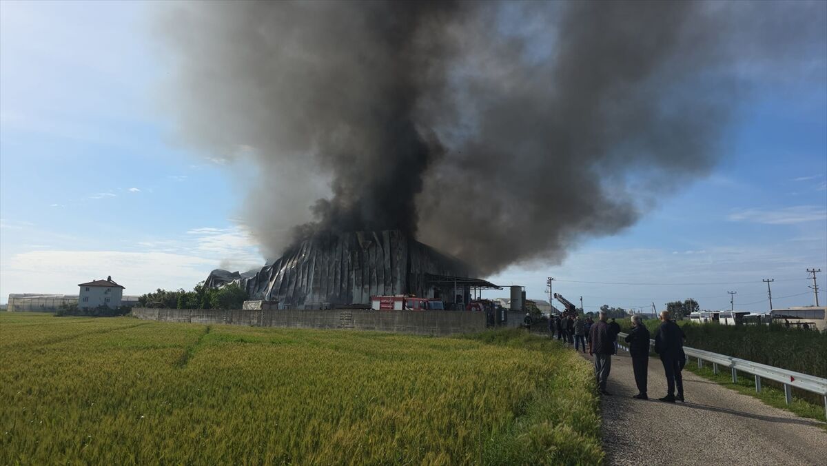 A A 20260425 41204603 41204601 A N T A L Y A D A P A T A T E S C I P S I U R E T I M T E S I S I N D E C I K A N Y A N G I N S O N D U R U L D U