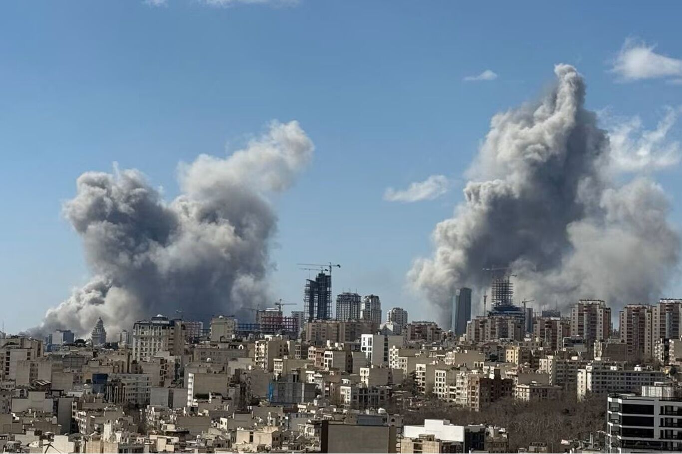 E0101C46 830F 4B8B 8F15 78498Cf41988