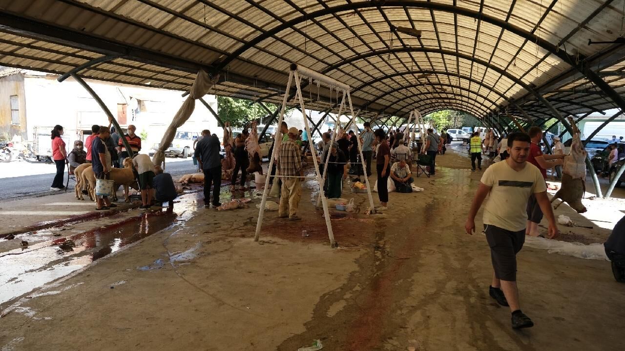 Kurban Kurban Kesim Yeri Manisa Iha 2065786