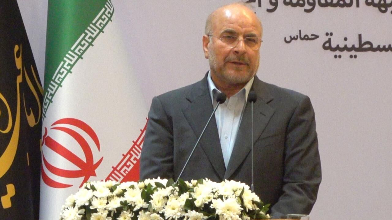 Muhammed Bakir Kalibafaa 2452844