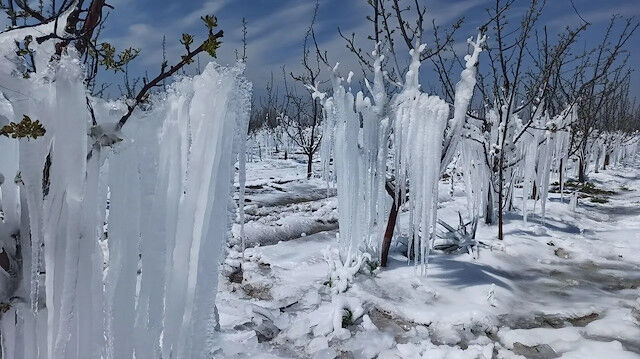 Resized 3Ac27 Af35774819436811