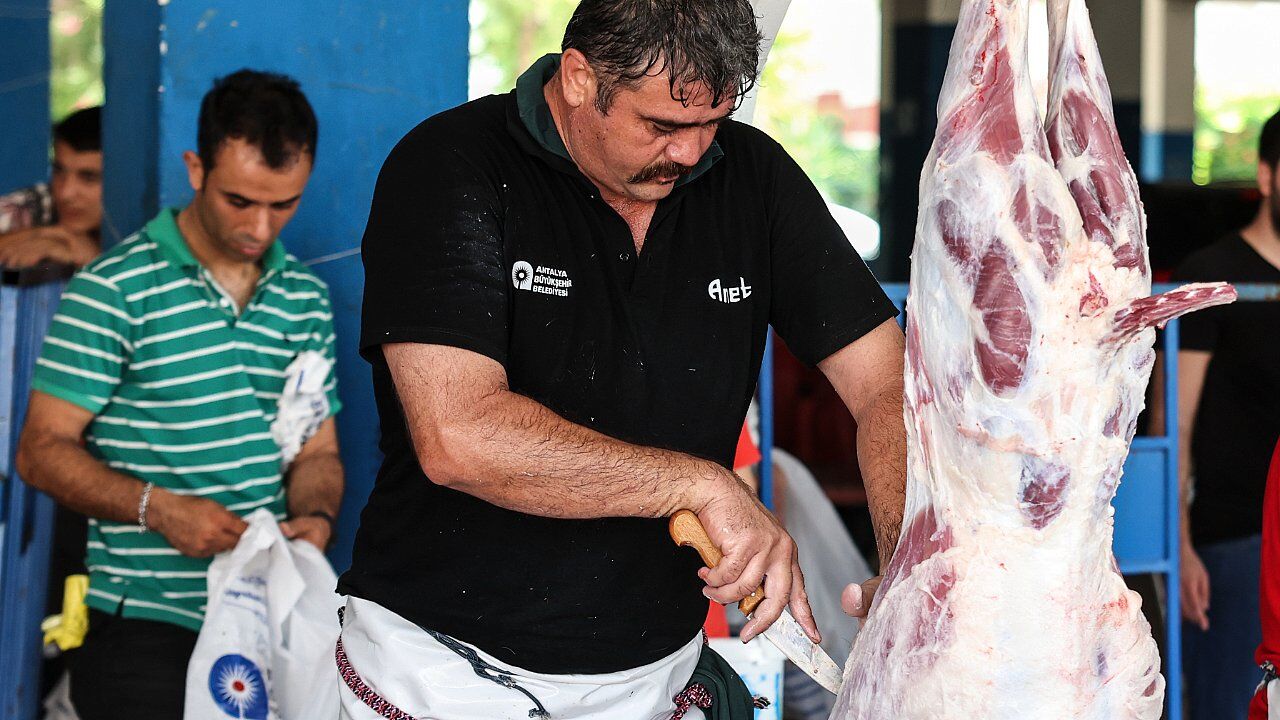 Ucretsiz Kurban Kesimi 9358