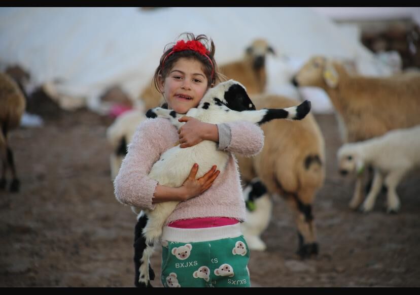 Whatsapp Image 2026 04 07 At 3.55.07 Pm