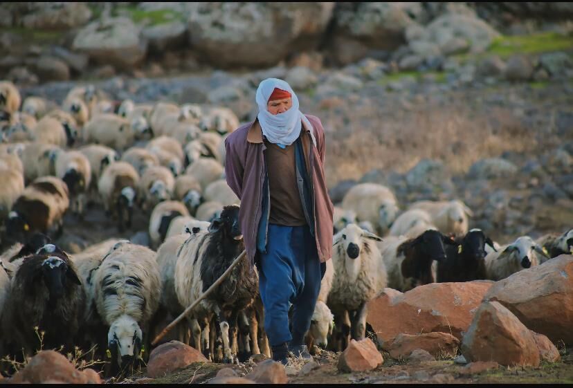 Whatsapp Image 2026 04 07 At 3.55.08 Pm