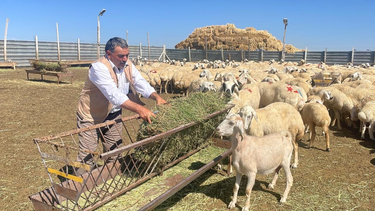 Yozgat Kucukbas Hayvan Aa 2147777