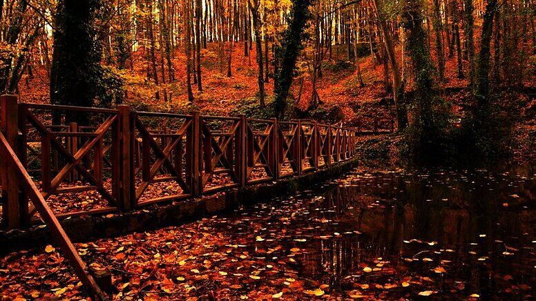 1 Belgrad Ormani 12 Belgrad 1556618936