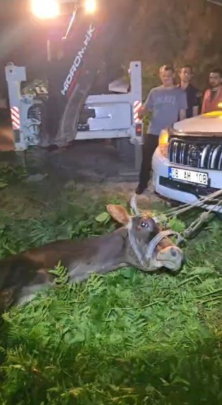 A W736553 04