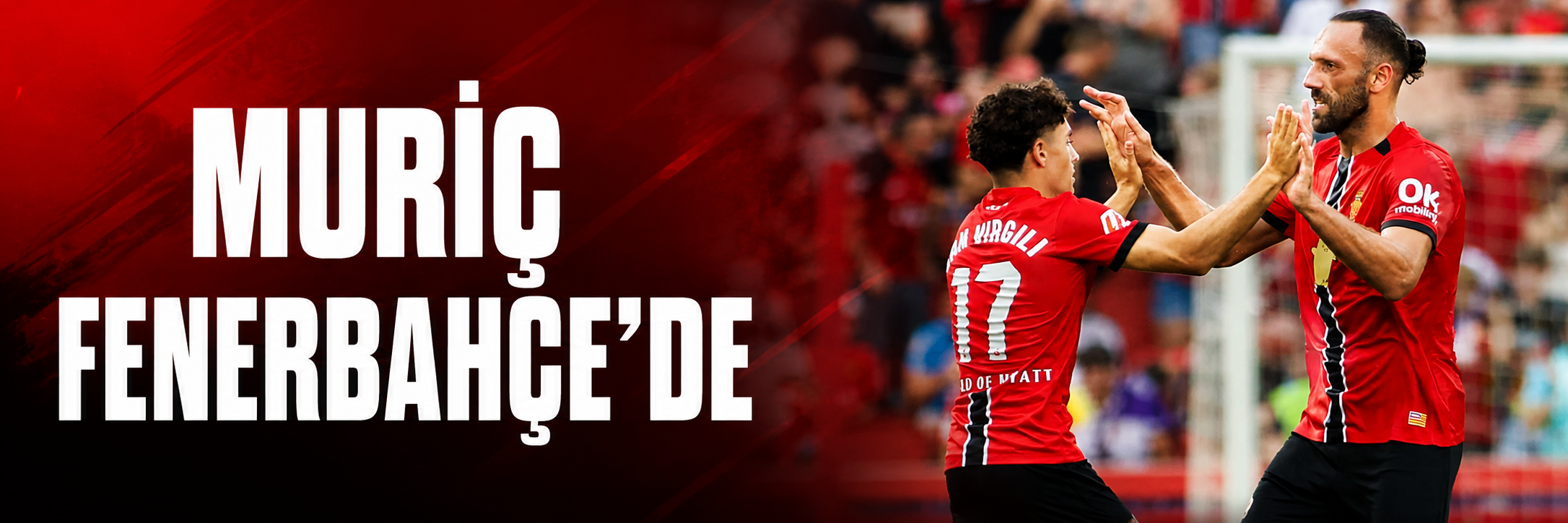 Vedat Muriç Fenerbahçe'de