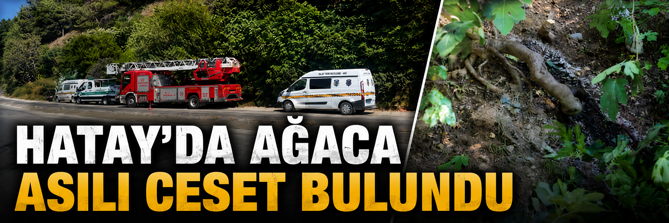 Hatay'da ağaca asılı ceset bulundu