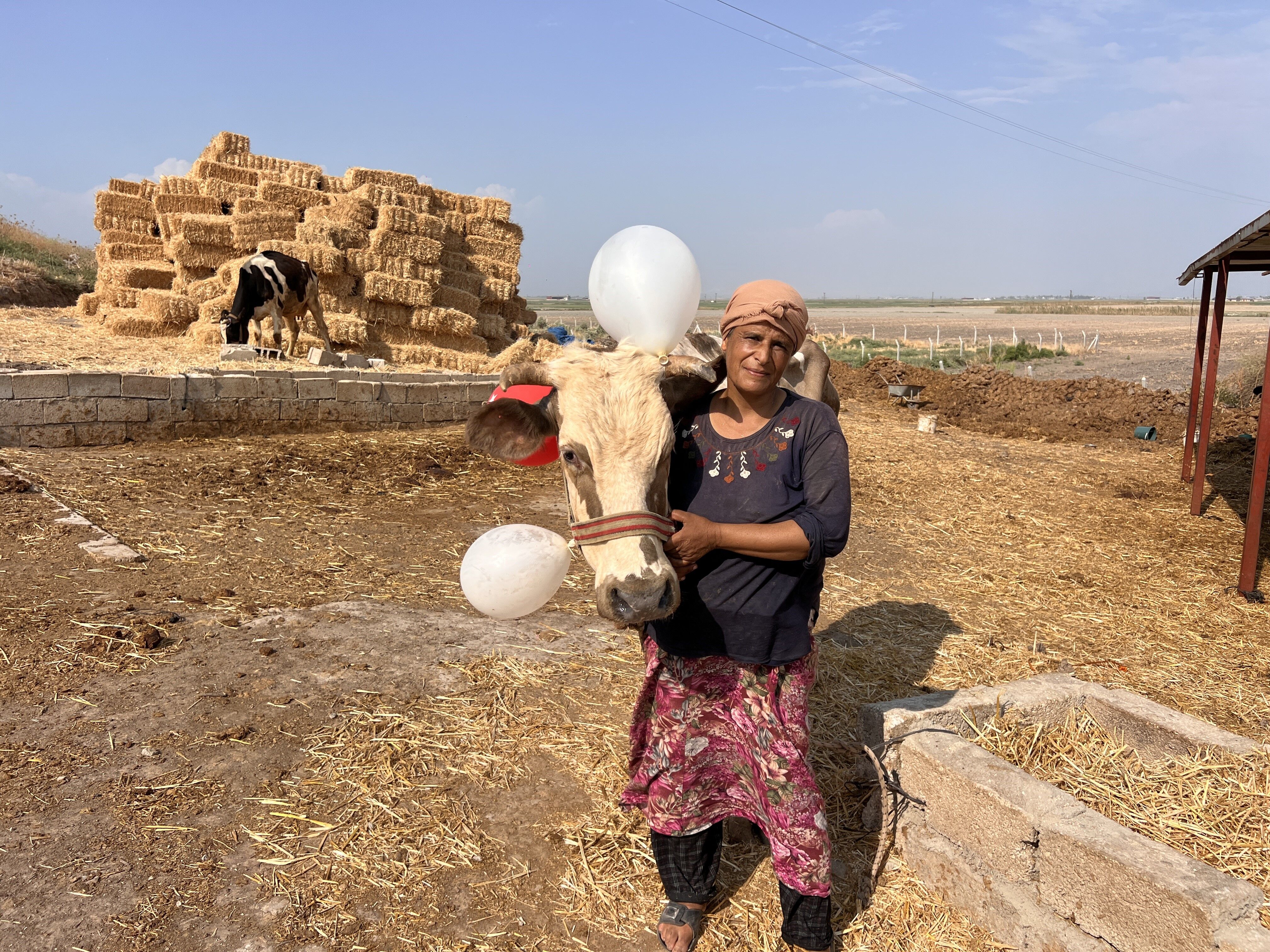 A W768780 01
