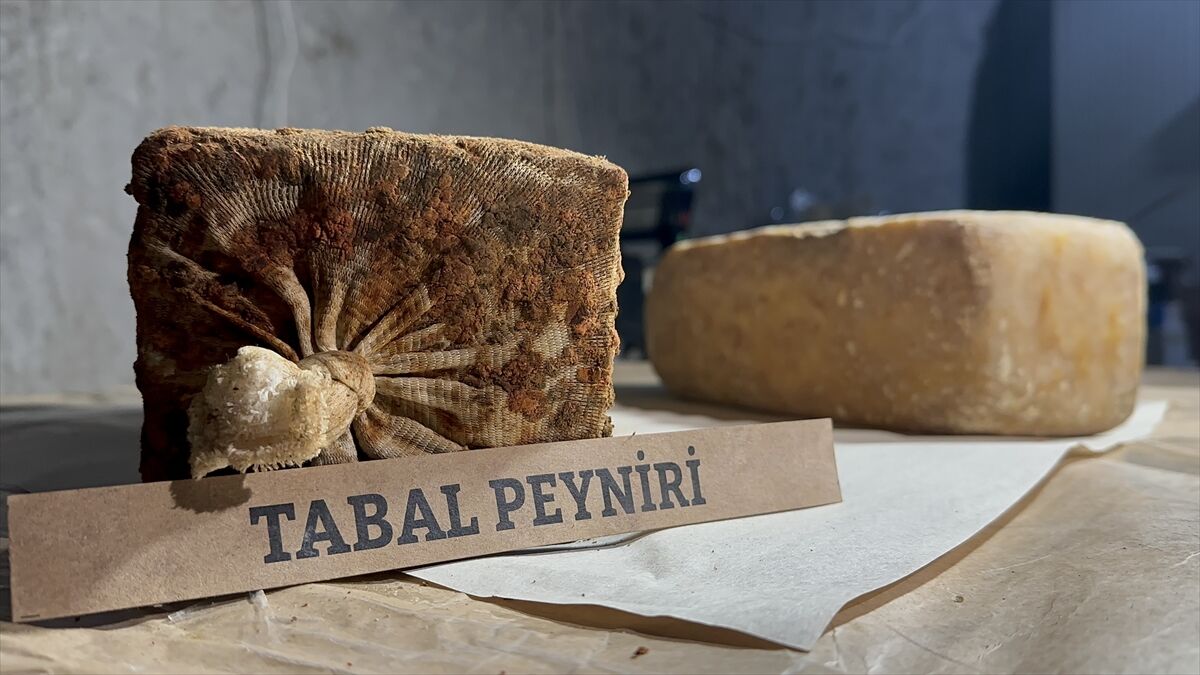 Tüf mağarada olgunlaştırılan "Tabal peyniri" sofralara lezzet katıyor