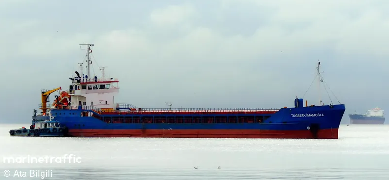 A W779479 02
