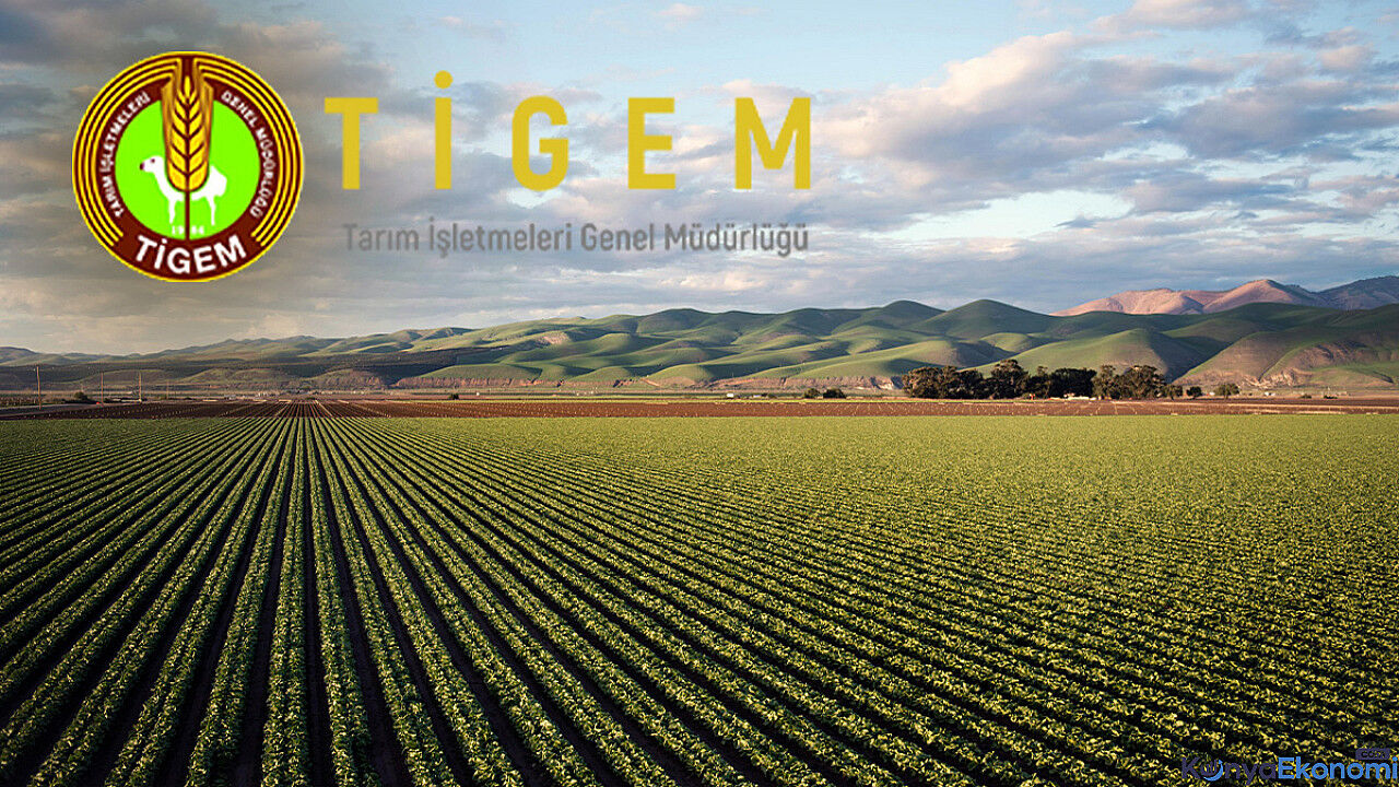 Tigem Konya Da 74 Kamu Persone 1767098923 Q W5T Ff
