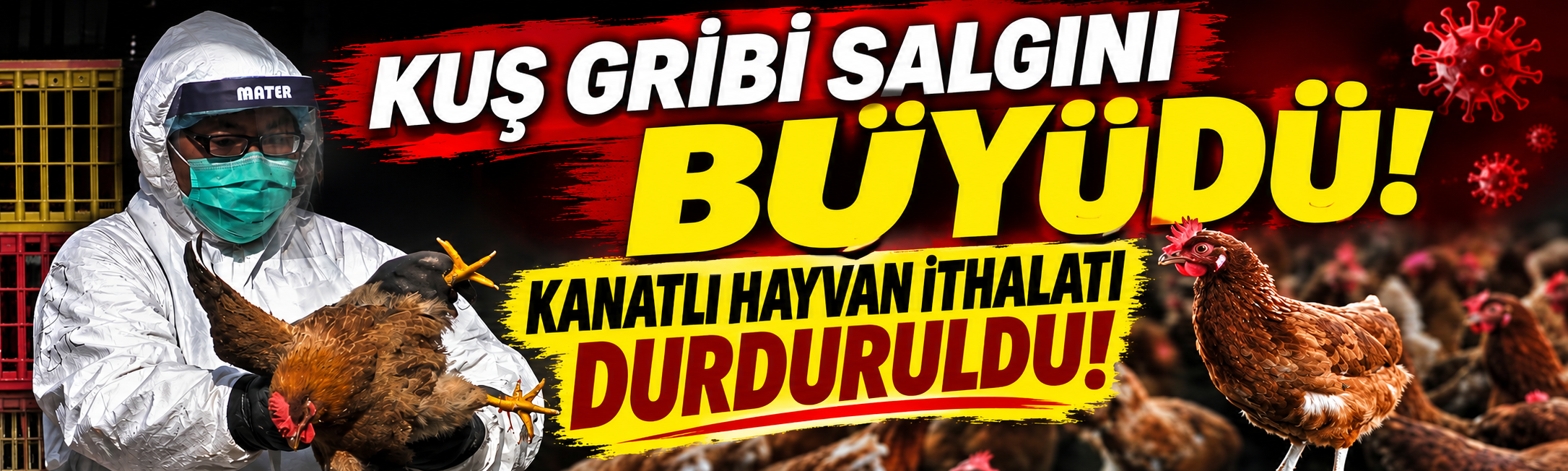 Kuş gribi salgını nedeniyle kanatlı ithalatı durduruldu!