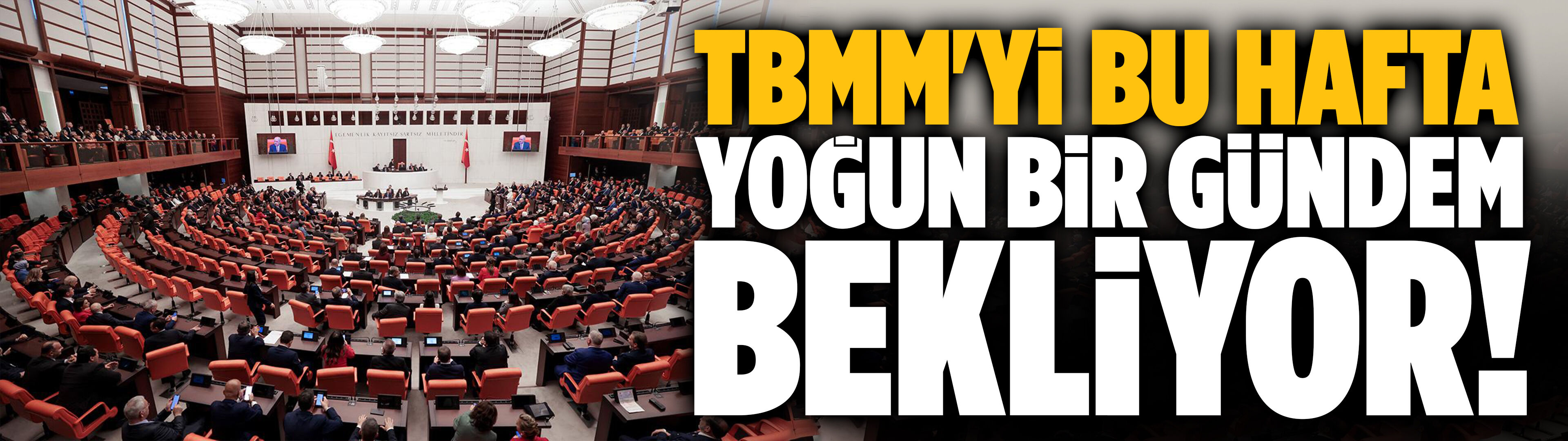 TBMM'yi bu hafta yoğun bir gündem bekliyor!